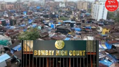 PIL filed in HC challenging transfer of Mulund Salt Agar land for Dharavi redevelopment