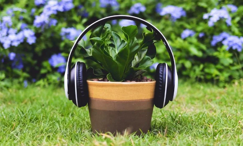 Plants flourish more by listening to music...