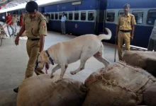 Threats to blow up railway stations in Rajasthan with bombs