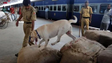 Threats to blow up railway stations in Rajasthan with bombs