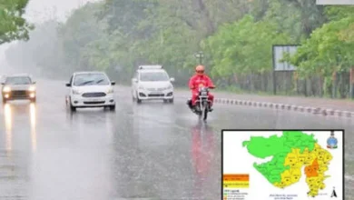 Rain in 93 talukas in last 24 hours in Gujarat, gusts in Ahmedabad early today