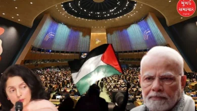 "Sovereign and independent Palestine must be established", India appealed for peace in the UNSC