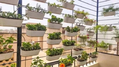 Special Create a mini garden at home and give the balcony a new look