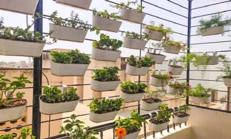 Special Create a mini garden at home and give the balcony a new look