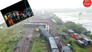 "The train entered the loop line even though it was not stopped and...." What did the official say on the Tamil Nadu train accident?