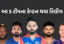 IPL: These 5 Team Captains Released, Virat Most Expensive Indian