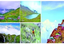 Travel Plus : India's Heritage Silk Route - Zooluk - Heaven between Earth and Sky, Free World of Colorful Birds