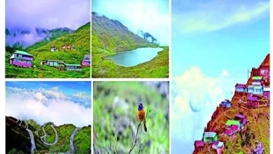 Travel Plus : India's Heritage Silk Route - Zooluk - Heaven between Earth and Sky, Free World of Colorful Birds