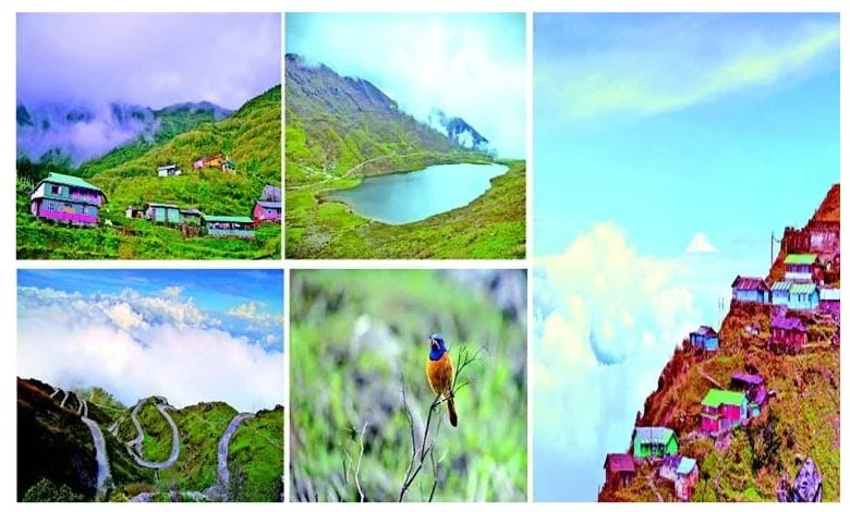 Travel Plus : India's Heritage Silk Route - Zooluk - Heaven between Earth and Sky, Free World of Colorful Birds