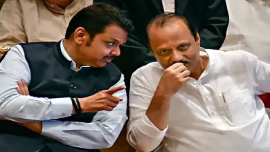 Who is the richest among Ajit Pawar and Devendra Fadnavis