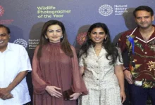 Who stole the limelight in the presence of Nita Ambani?