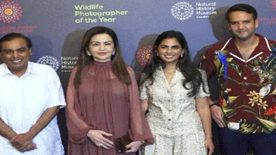 Who stole the limelight in the presence of Nita Ambani?