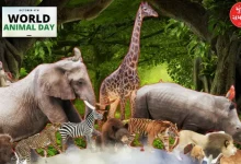 World Animal Day 2024