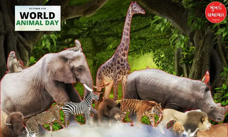 World Animal Day 2024