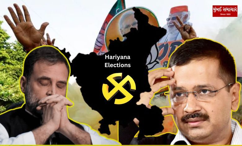 aap-and-congress-in-hariyana-assembly-elections