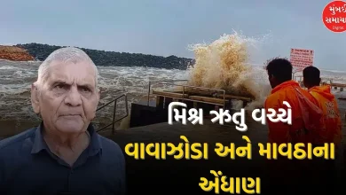 Ambalal Patel Forecast: Where will Dana cyclone affect Gujarat? Know what Ambalal Patel predicted