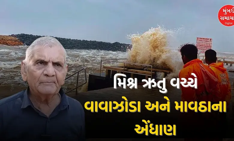  Where volition  Dana cyclone impact  Gujarat? Know what Ambalal Patel predicted