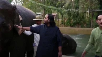 Thanks to Anant Ambani, African elephants will get life donation, know how.