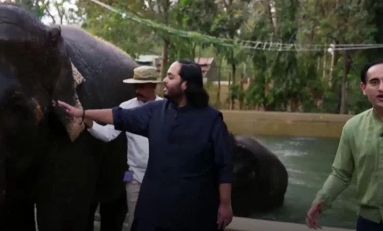 Thanks to Anant Ambani, African elephants will get life donation, know how.