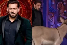 Bigg Boss 18 contestant PETA controversy