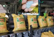 Black market of farmers' right fertilizer: 264 sacks of neem coated fertilizer seized from Anjar