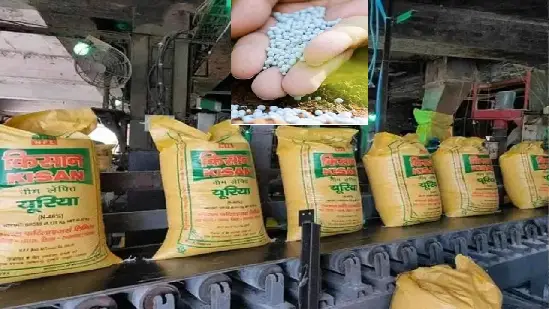 Black market of farmers' right fertilizer: 264 sacks of neem coated fertilizer seized from Anjar