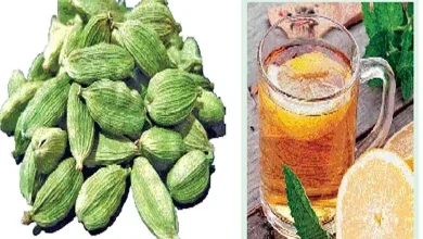 Health improvement: The queen of spices is cardamom with amazing benefits