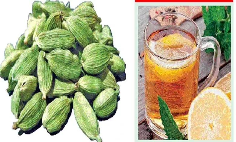 Health improvement: The queen of spices is cardamom with amazing benefits