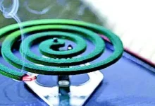 : "person holding mosquito coil with smoke"