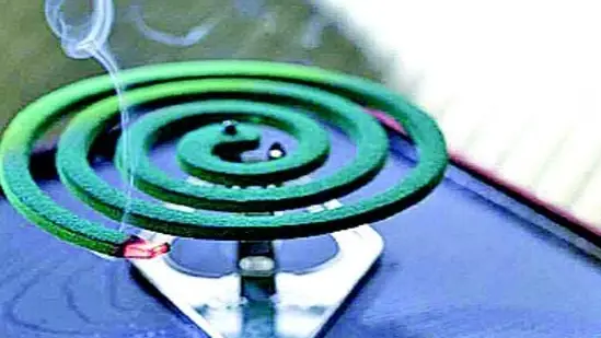 : "person holding mosquito coil with smoke"