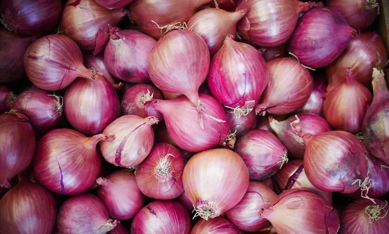 Theft of onions, not gold and silver: The farmer was sleeping and the thief stole 400 maunds of onions