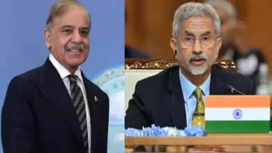 S Jaishankar arrived at Shahbaz Sharif's dinner, welcomed by Pakistan Prime Minister: video viral