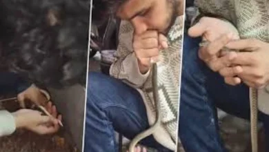 Video: A youth saves a snake's life by giving CPR in Vadodara