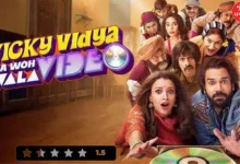 Vicky-vidya-ka-woh-wala-video film review