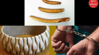 Banned ivory bangle manufacturing busted in Bhuj, four people detained