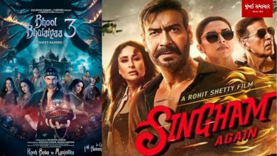 Bhool Bhulaiya, Singham again box office collection