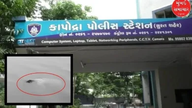 Body of girl found in Tapi in Surat