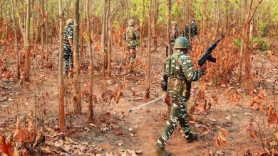 Chhattisgarh Security forces success 10 Naxalites killed Sukma