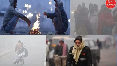 Cold wave across Gujarat; Naliya the coldest city with 14.1 degrees