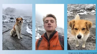 Viral Video: British tourist lost at 15,000 feet and something happened...