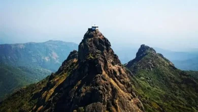 Girnar Lili Parikrama: Devotees flock to Girnar Lili Parikrama to begin tomorrow