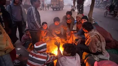 Gujarat experiences cold spell, with Naliya recording 13 degrees Celsius for the first time