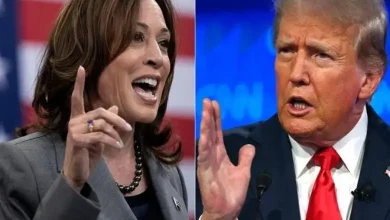 US Election Result Live: Donald Trump and Kamala Harris cross the 200 mark, clash of thorns