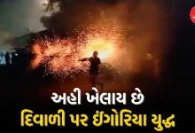 Celebrating Diwali in Savarkundla in a different way, Ingoria War is a unique attraction among people