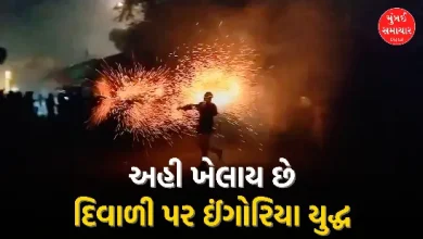 Celebrating Diwali in Savarkundla in a different way, Ingoria War is a unique attraction among people