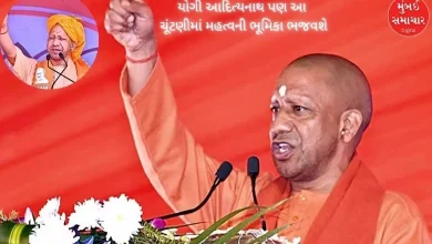 Maharashtra Election 2024: Yogi Adityanath got a big responsibility, will address so many rallies