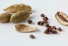 Make a habit of eating cardamom before going to bed at night, you will benefit!