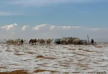 Snowfall in the desert of Saudi Arabia