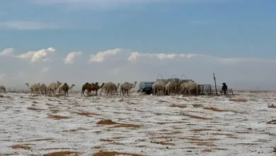 Snowfall in the desert of Saudi Arabia