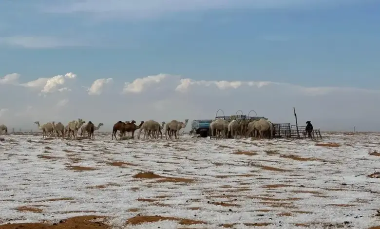 Snowfall in the desert of Saudi Arabia